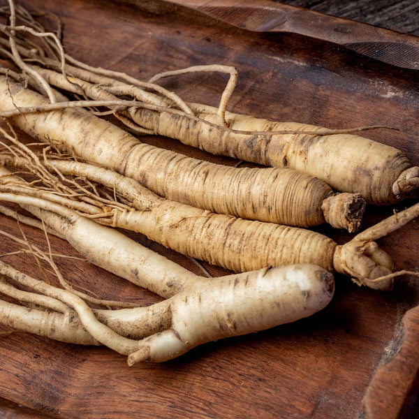 EXTRACTO DE RAÍZ DE PANAX GINSENG